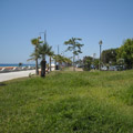 Caulonia Marina aiuole lungomare