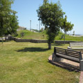 Alberi lungomare Caulonia Marina
